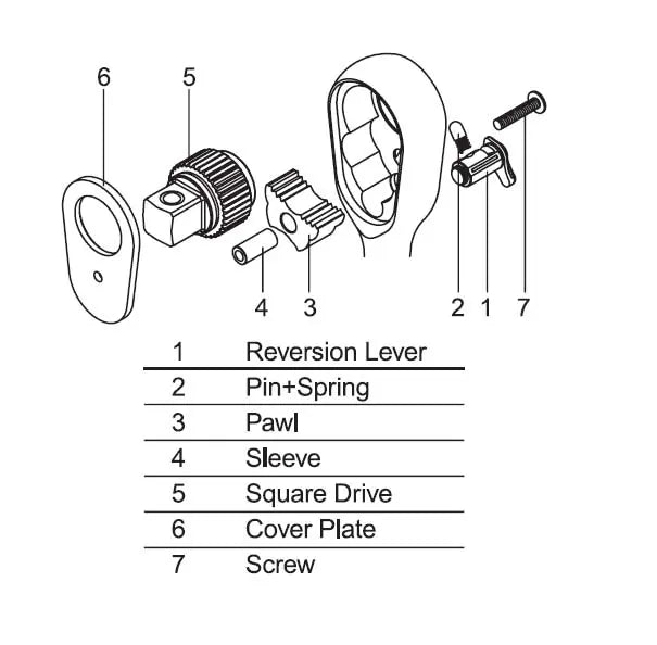 Renewal Kit for 36 Tooth 1/4