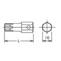 16mm Hex Dr. Bit TORXplus® 55IP  Length 50mm