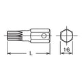 16mm Hex Dr. Bit XZN M14 Triple Square Length 60mm