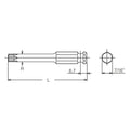 7/16 Hex Dr. TORXplus® 40IP Bit - Length 75mm