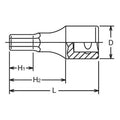 1/2 Sq. Dr. Bit Socket  1/2 Hex Length 60mm