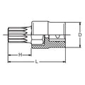 1/2 Sq. Dr. Bit Socket XZN MH16 Triple Square Length 60mm with Hole