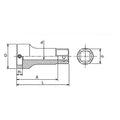 1/2 Sq. Dr. Die Holder  50mm  Length 105mm